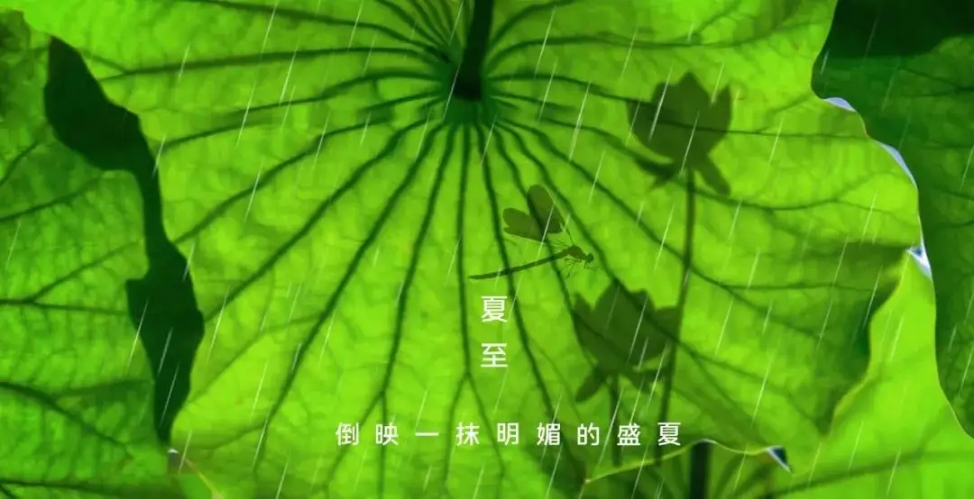 今日迎來(lái)夏至!